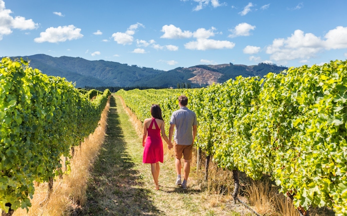 Couple walking through vineyard with mountain backdrop.