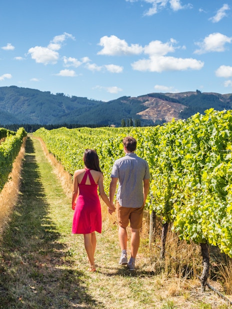 Couple walking through vineyard with mountain backdrop.