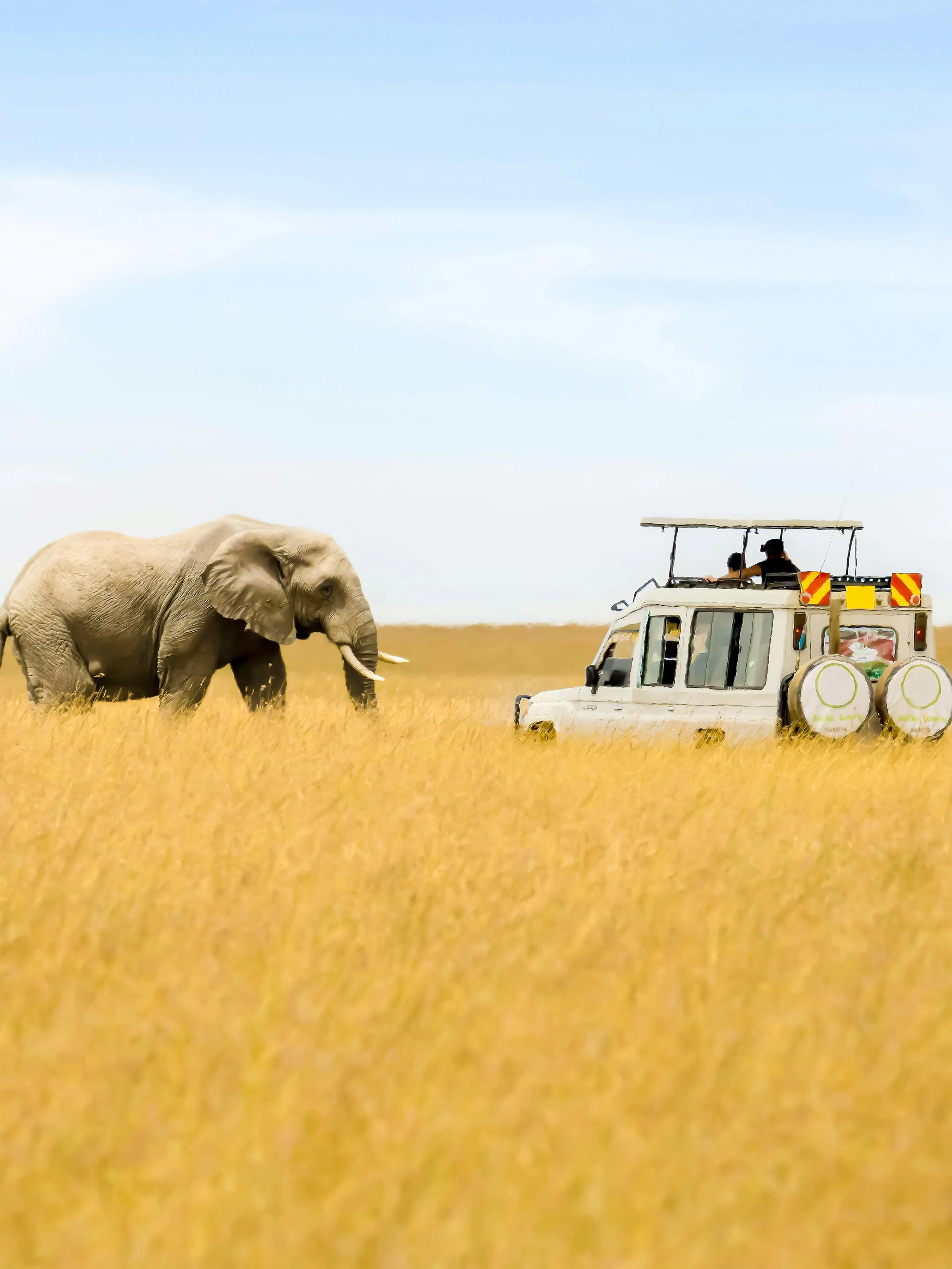 African elephant near tourist vehicle in Masai Mara National Reserve, Kenya.