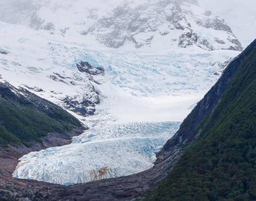 Seco Glacier nestled between forested mountains in Argentina.