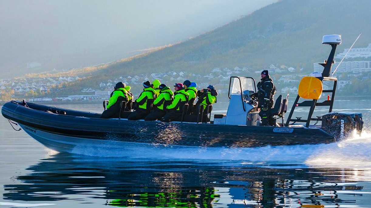 https://cdn-imgix.headout.com/media/images/bf3323afc3137340c96f70cb2a9b3c99-30102-tromso-whale-watching-cruise-on-rib-03.jpg