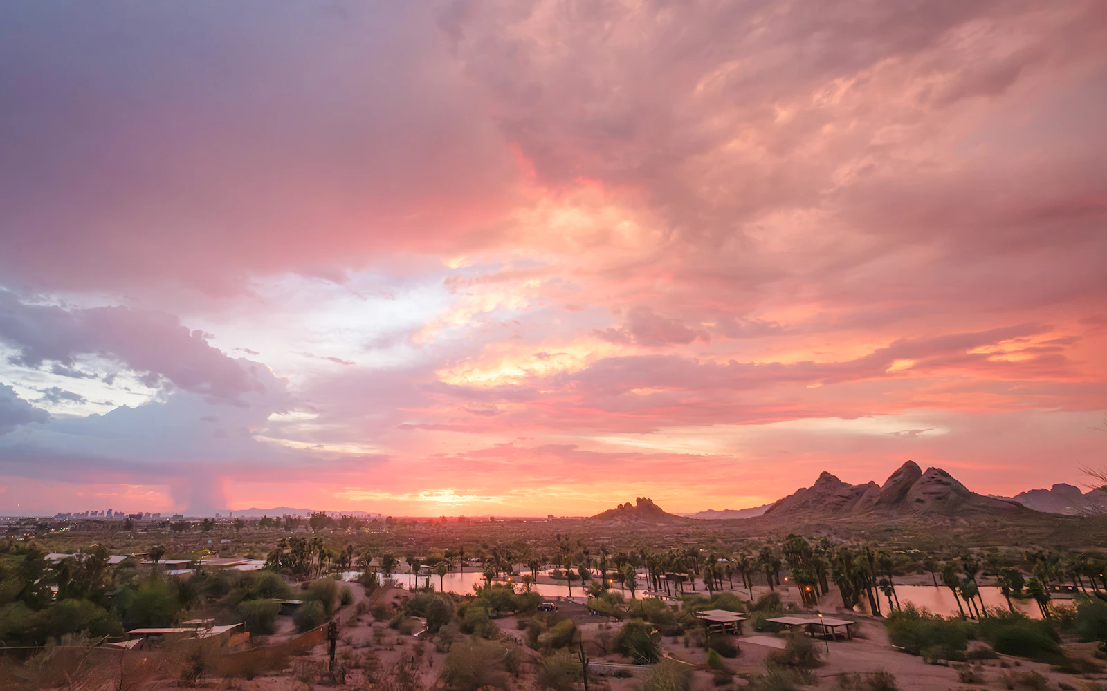 Phoenix Sunset Walking Tour: Downtown & Papago Park (Product 55553)