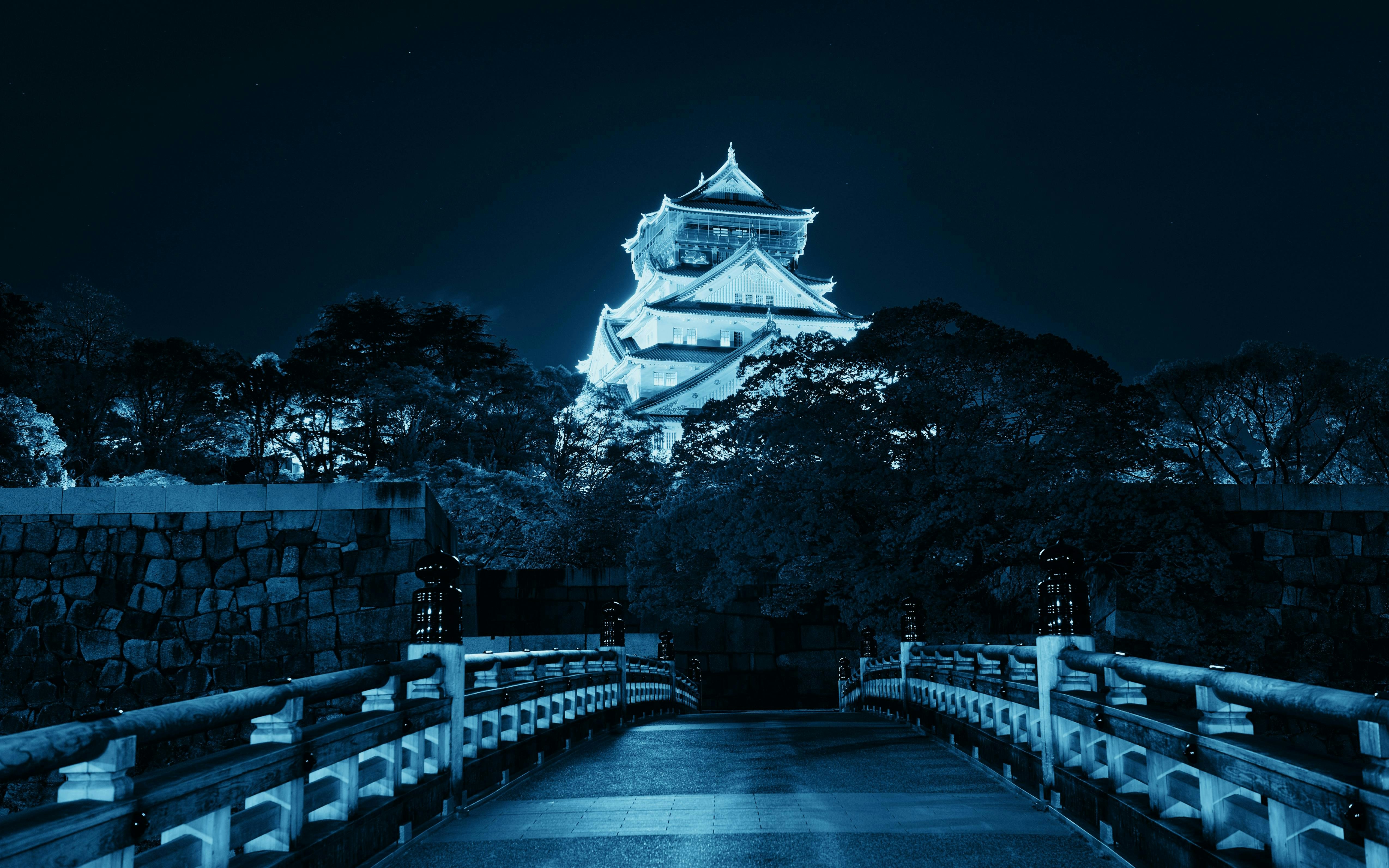 Illuminated main keep of Osaka Castle at night