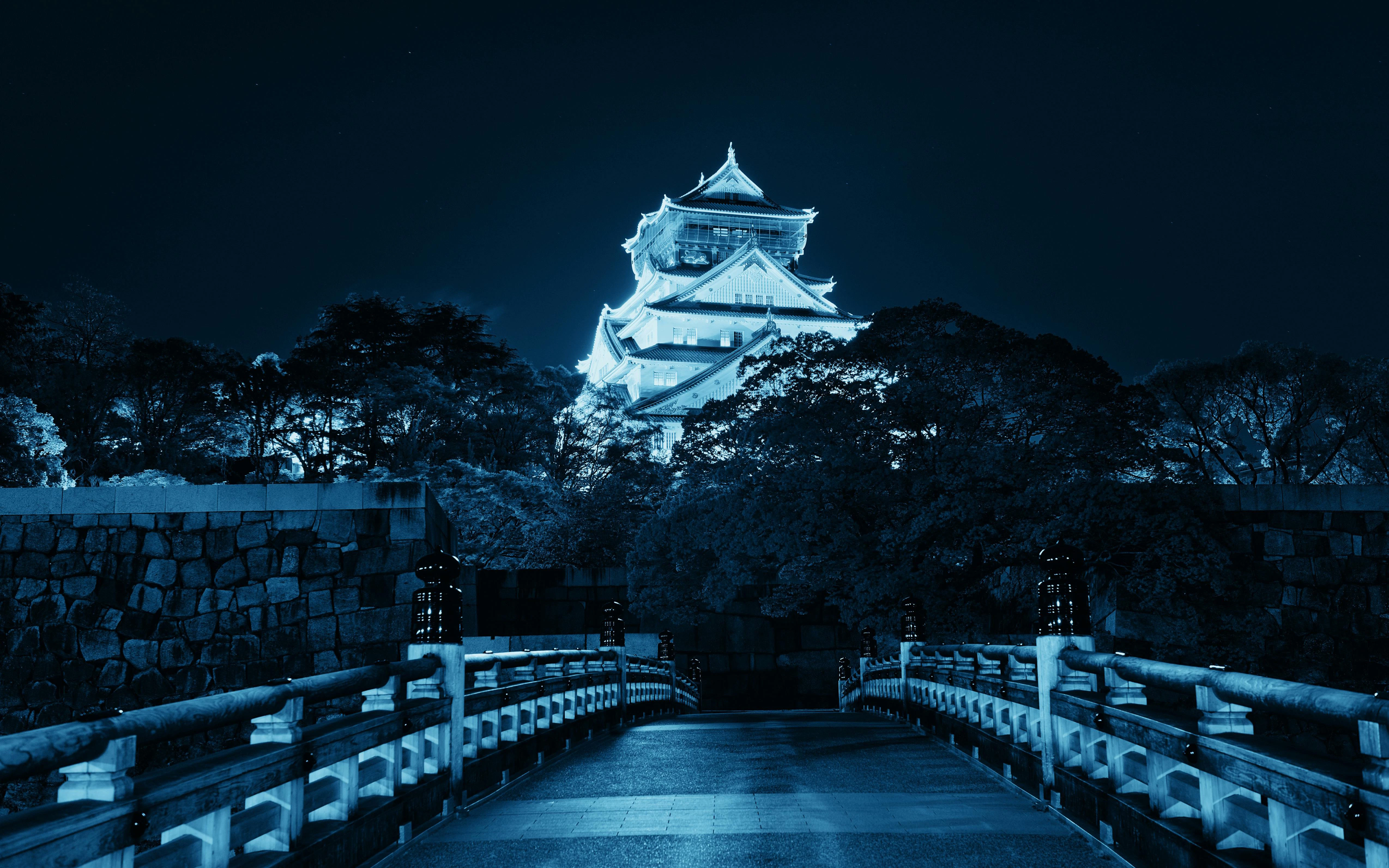 Osaka Castle illuminated at night with a bridge in the foreground.