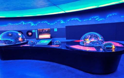 Interactive marine exhibit at Istanbul Aquarium with coral displays.