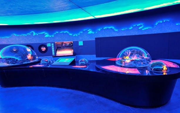 Interactive marine exhibit at Istanbul Aquarium with coral displays.