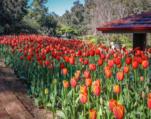 Day trips from Perth