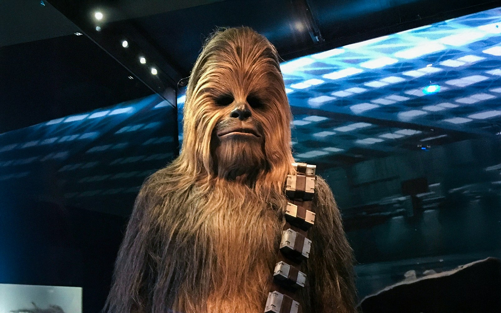 Chewbacca exhibit at Art Science Museum, featuring Star Wars character display.