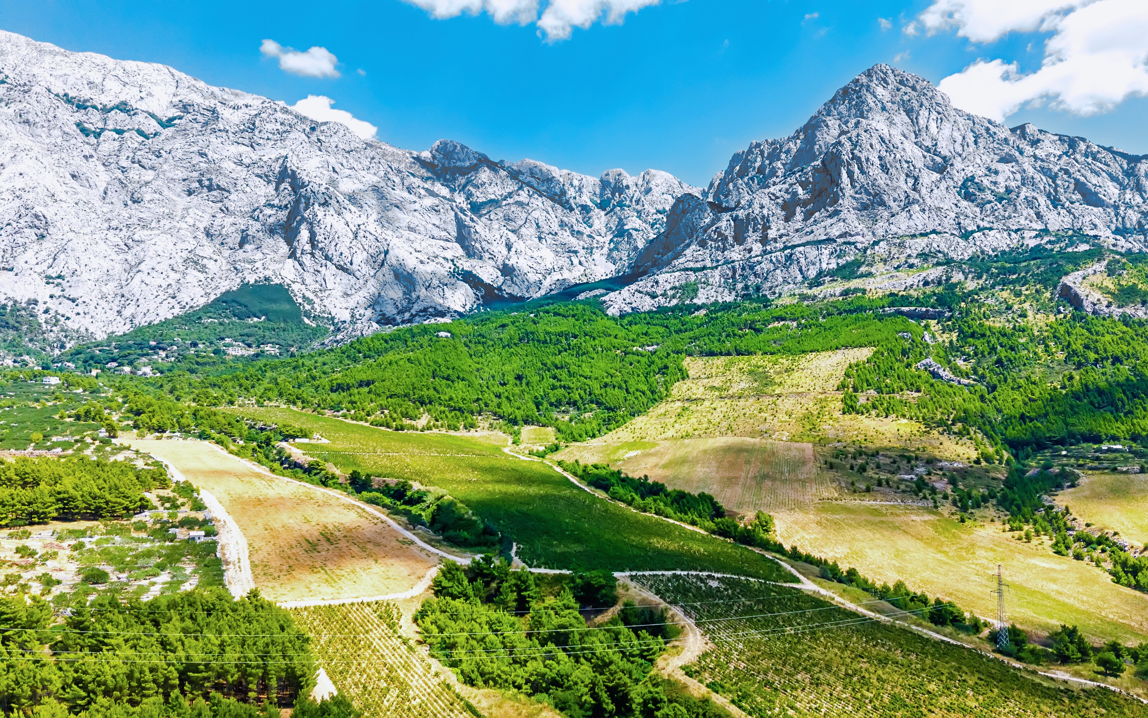 Aerial view of Croatian vineyards and olive groves with rocky mountains under blue sky.