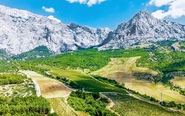 Aerial view of Croatian vineyards and olive groves with rocky mountains under blue sky.