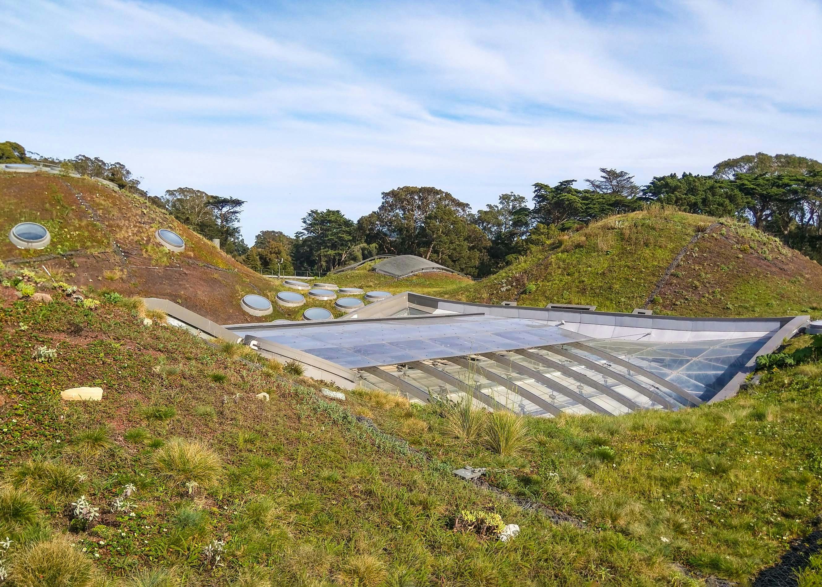 California Academy of Sciences