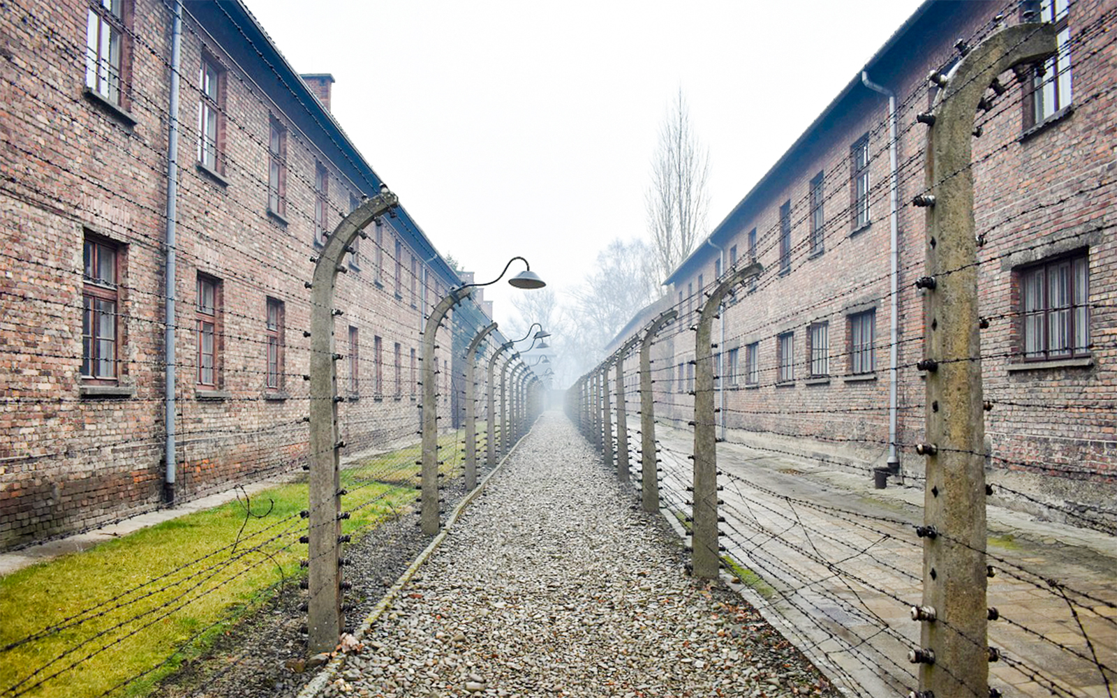 Auschwitz I barracks with barbed wire fences along a gravel path.