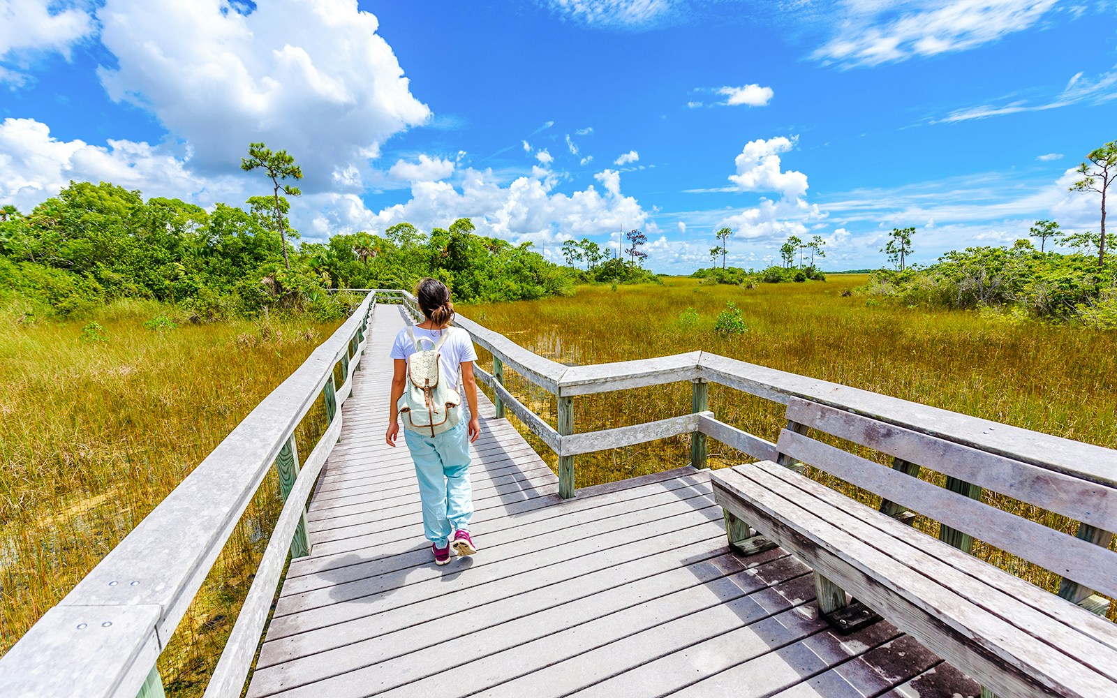 Person walking on Mahogany Hammock Trail boardwalk in Everglades National Park.
