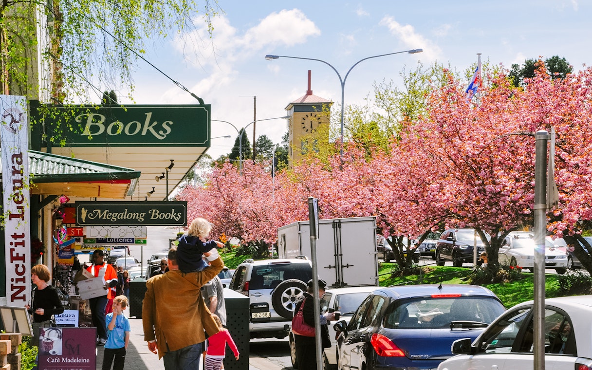 Street near Sydney Zoo with cherry blossoms and people walking.