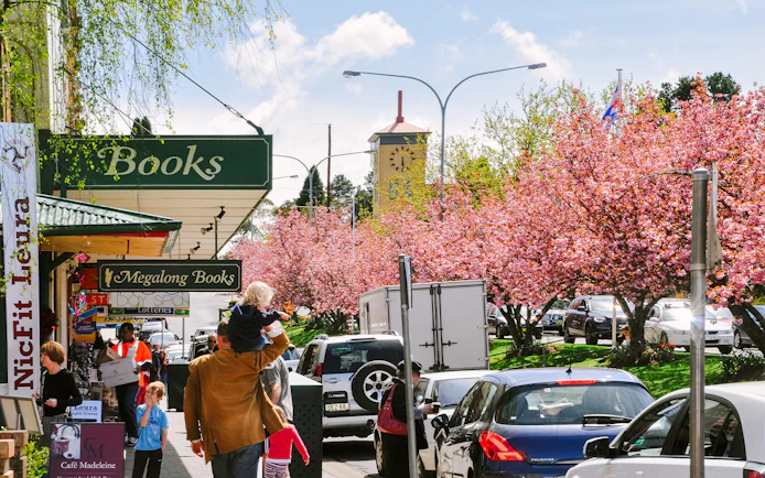 Street near Sydney Zoo with cherry blossoms and people walking.