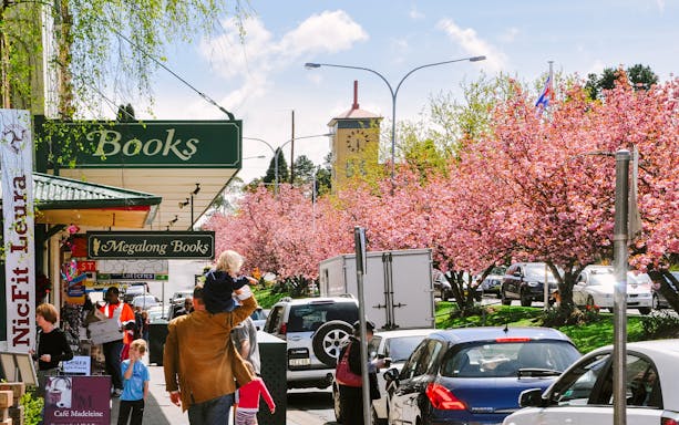 Street near Sydney Zoo with cherry blossoms and people walking.