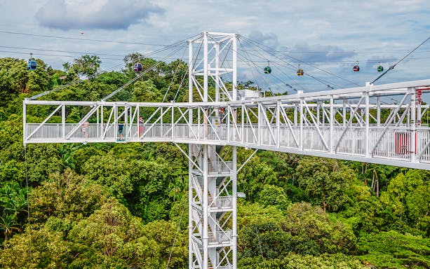 Skybridge and cable cars over lush greenery in Sentosa, Singapore.