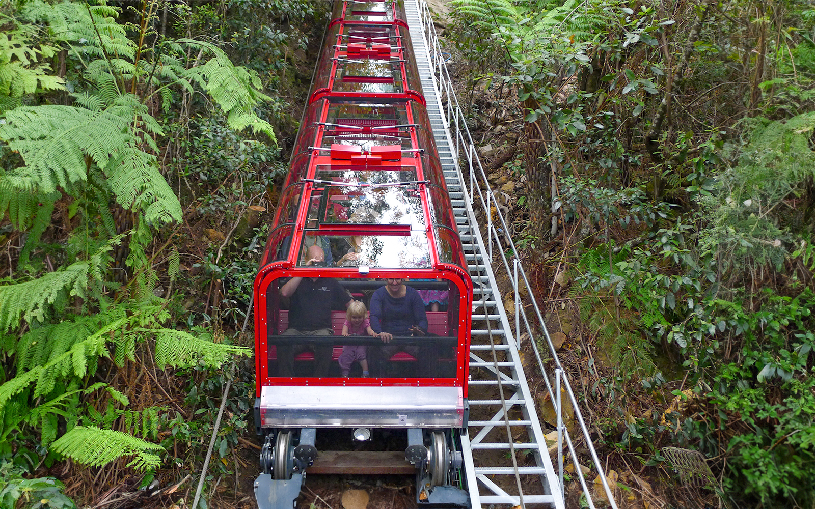 Scenic railway ride through lush forest in Blue Mountains, Australia.