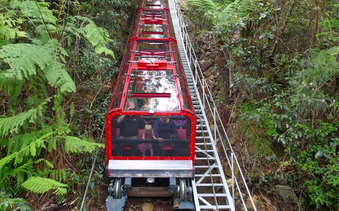 Scenic railway ride through lush forest in Blue Mountains, Australia.