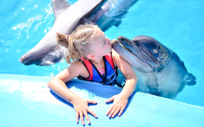 Child interacting with dolphins during Private Dolphin Photo Experience at Dolphin World.