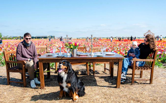 Guests enjoying a meal in the tulip fields at Tulip Experience Amsterdam.