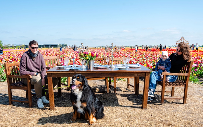 Guests enjoying a meal in the tulip fields at Tulip Experience Amsterdam.