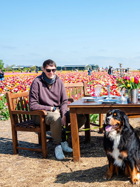Guests enjoying a meal in the tulip fields at Tulip Experience Amsterdam.