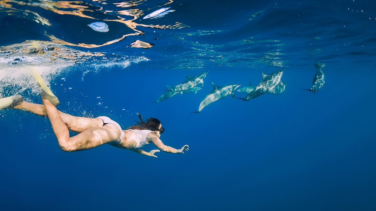 Snorkeler swimming with dolphins in clear waters of Tenerife.