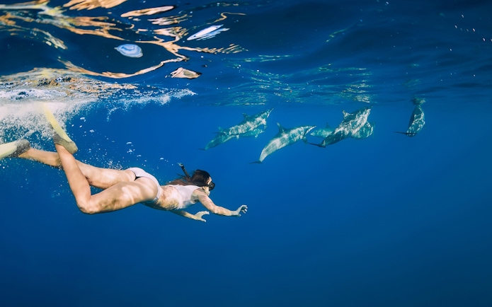 Snorkeler swimming with dolphins in clear waters of Tenerife.