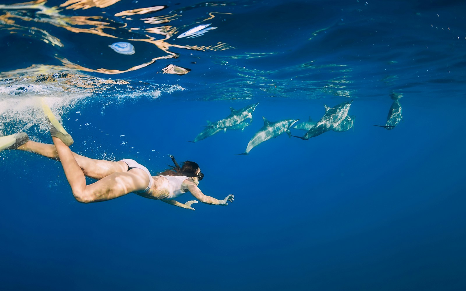 Snorkeler swimming with dolphins in clear waters of Tenerife.