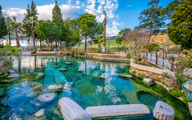 Thermal pool surrounded by trees in Pamukkale, Turkey, part of Antalya day trip.