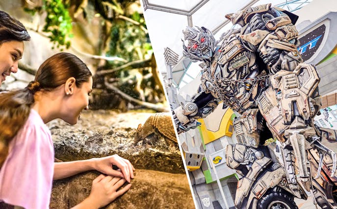 Visitors observing wildlife at Singapore Night Safari and a robot character at Universal Studios.
