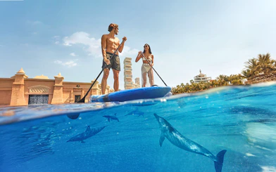 Tourists paddleboarding with dolphins at Atlantis, The Palm, Dubai.