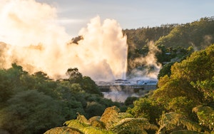 Rotorua image