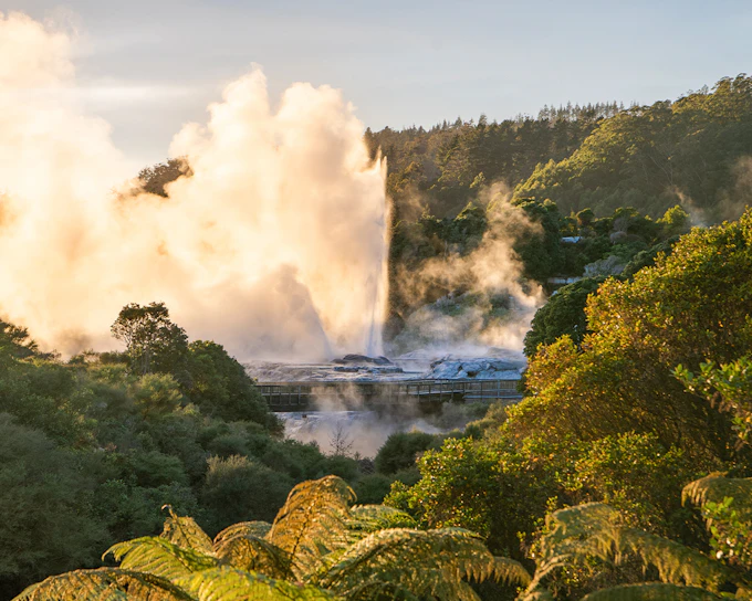 Te Puia: Te Pō Combo with Guided Tour, Cultural Performance & Hangi Buffet Dinner