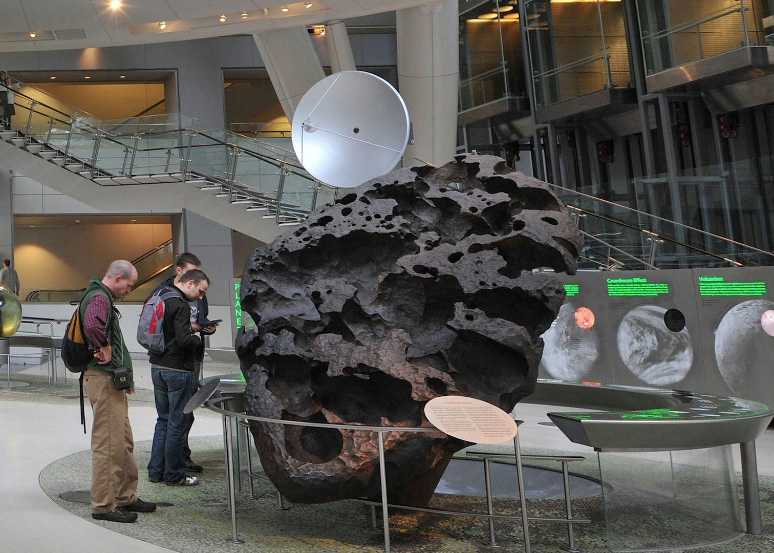 American Museum of Natural History