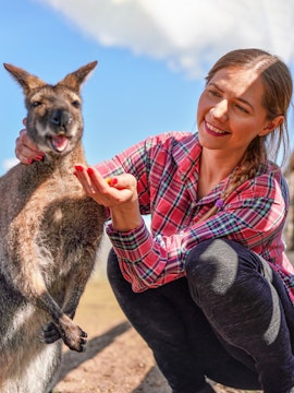 Person interacting with a kangaroo at Bonorong Wildlife Sanctuary, Hobart.