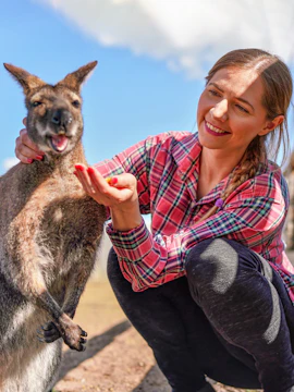 Person interacting with a kangaroo at Bonorong Wildlife Sanctuary, Hobart.