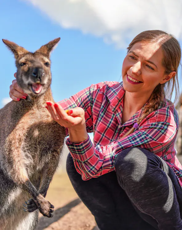Person interacting with a kangaroo at Bonorong Wildlife Sanctuary, Hobart.
