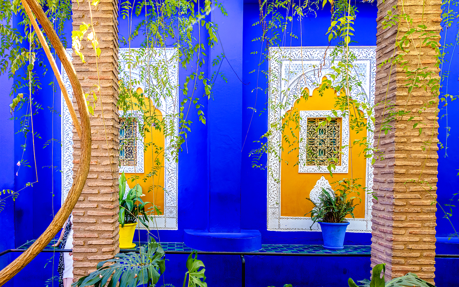 Jardin Majorelle's vibrant blue and yellow walls with intricate window designs and lush greenery.