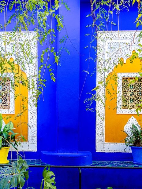 Jardin Majorelle's vibrant blue and yellow walls with intricate window designs and lush greenery.