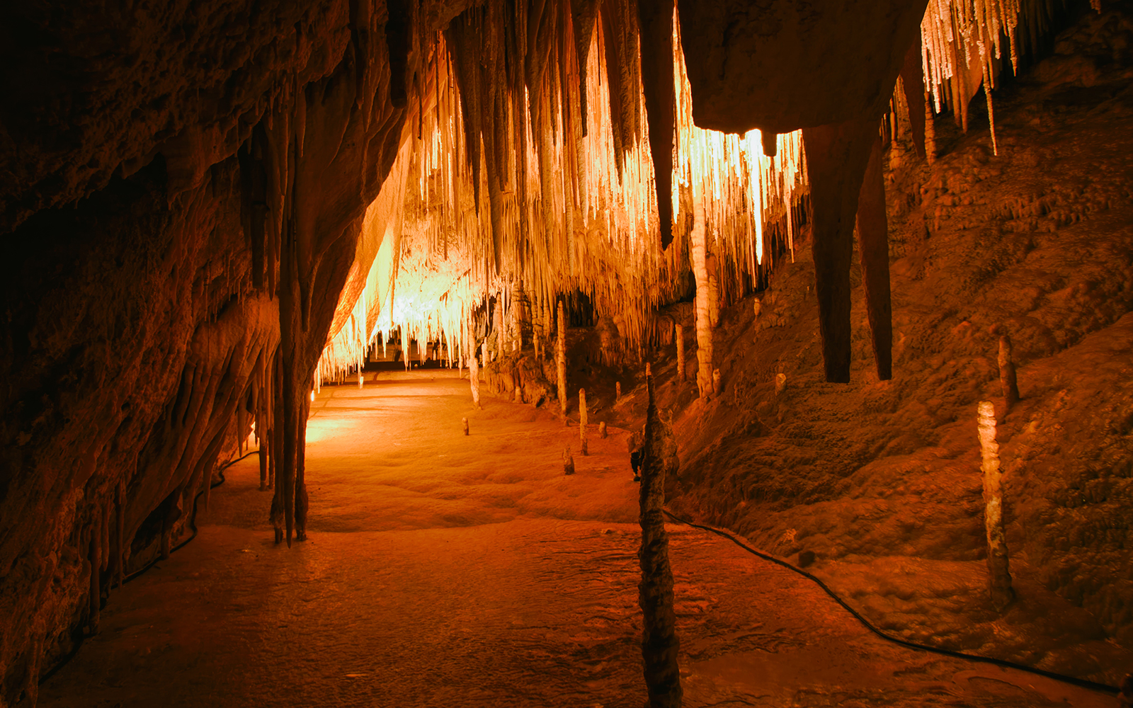 Stalactites and stalagmites inside Hastings Caves, Tasmania, illuminated by warm light.