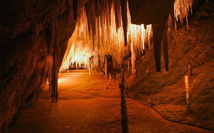 Stalactites and stalagmites inside Hastings Caves, Tasmania, illuminated by warm light.