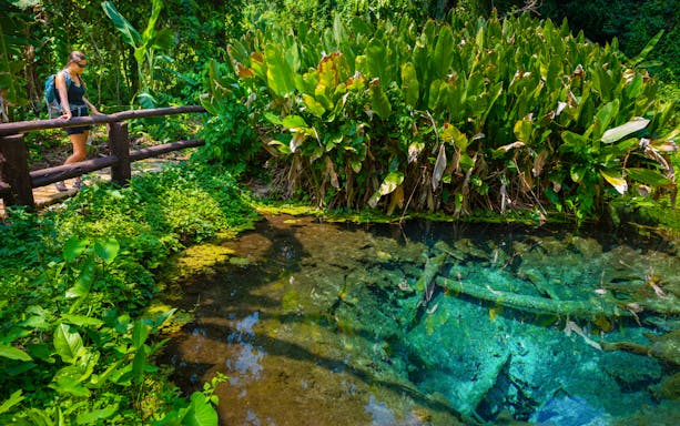 Visitor exploring Bua Tong Spring, Nam Phu Chet Si, Thailand, near lush greenery and clear water.
