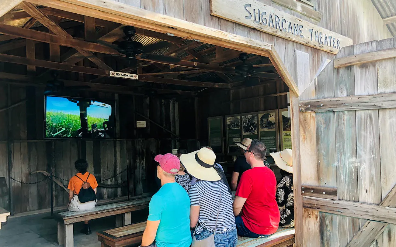 Visitors watching a sugarcane video at Oak Alley Plantation's Sugarcane Theater, New Orleans.