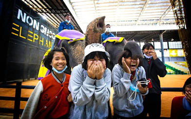 Visitors interacting with an elephant at Nong Nooch Tropical Garden show.