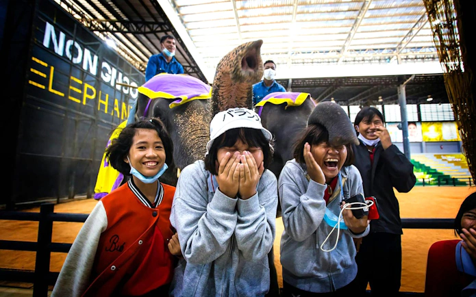 Visitors interacting with an elephant at Nong Nooch Tropical Garden show.