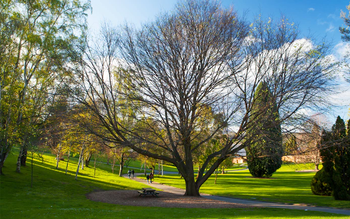 Pathway through lush greenery at Hobart Botanical Garden.