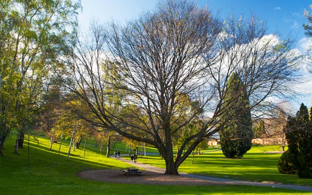 Pathway through lush greenery at Hobart Botanical Garden.