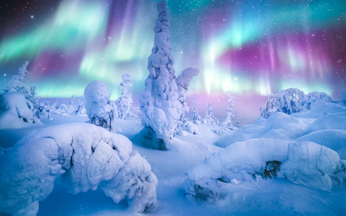 Snow-covered landscape under Northern Lights in Alaska.